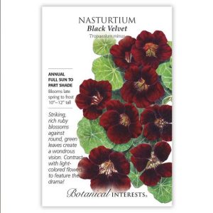 Nasturtium Seeds – Botanical Interests – Black Velvet