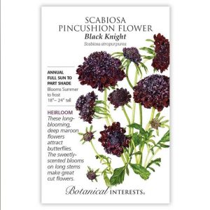 Scabiosa (Pincushion Flower) Seeds – Botanical Interests – Black Knight
