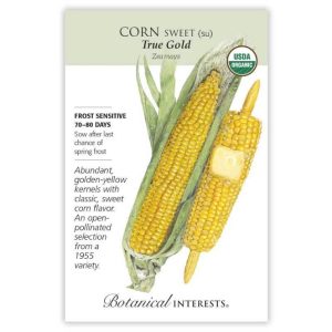 Sweet Corn Seeds – Botanical Interests – True Gold (Organic)