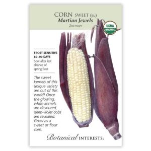 Sweet Corn Seeds – Botanical Interests – Martian Jewels (Organic)