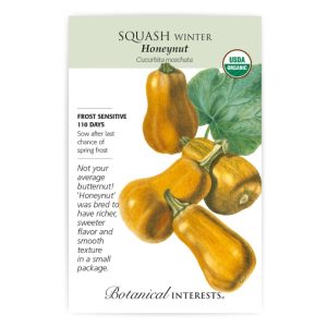 Winter Squash Seeds – Botanical Interests – Honeynut (Organic)