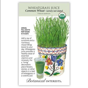 Wheatgrass Juice Seeds – Botanical Interests (Organic)