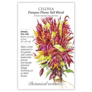Celosia Seeds – Botanical Interests – Pampas Plume Tall Blend