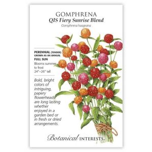 Gomphrena Seeds – Botanical Interests – QIS Fiery Sunrise Blend