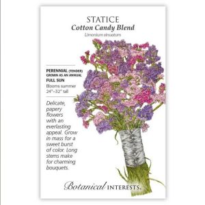 Statice Seeds – Botanical Interests – Cotton Candy Blend