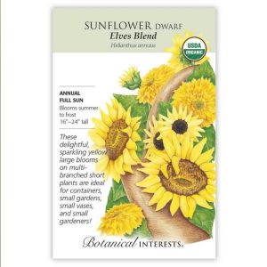 Dwarf Sunflower Seeds – Botanical Interests – Elves Blend (Organic)