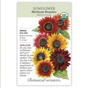 Sunflower Seeds – Botanical Interests – Heirloom Beauties (Organic)