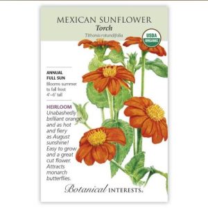 Mexican Sunflower Seeds – Botanical Interests – Torch (Organic)