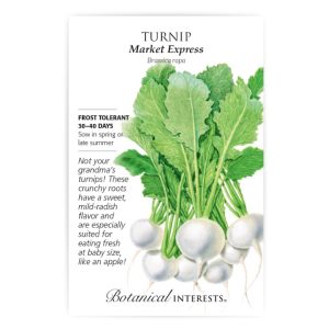 Turnip Seeds – Botanical Interests – Market Express