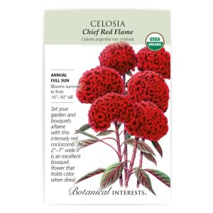 Celosia Seeds – Botanical Interests – Chief Red Flame (Organic)