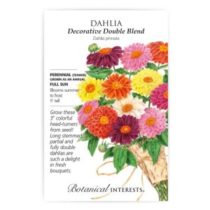 Dahlia Seeds – Botanical Interests – Decorative Double Blend