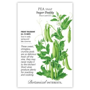 Snap Pea Seeds – Botanical Interests – Sugar Daddy
