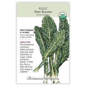 Kale Seeds – Botanical Interests – Nero Toscana (Large)