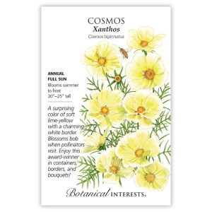 Cosmos Seeds – Botanical Interests – Xanthos