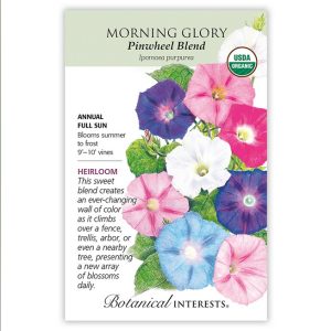 Morning Glory Seeds – Botanical Interests – Pinwheel Blend (Organic)