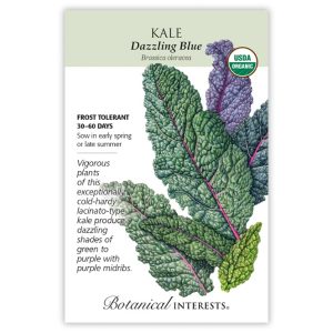 Kale Seeds – Botanical Interests – Dazzling Blue (Organic)