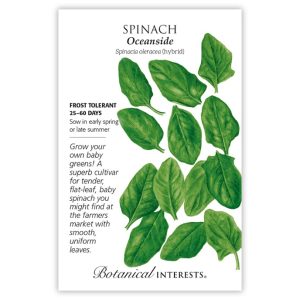 Spinach Seeds – Botanical Interests – Oceanside