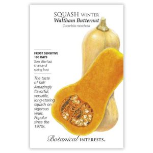 Winter Squash Seeds – Botanical Interests – Waltham Butternut (Organic)