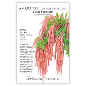 Amaranth Seeds – Botanical Interests – Love-Lies-Bleeding Coral Fountain (Org)