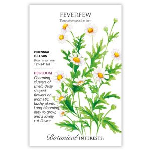 Feverfew Seeds – Botanical Interests