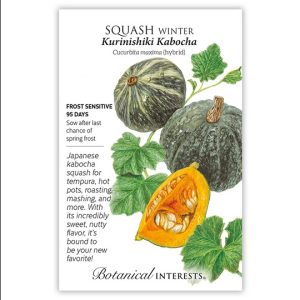 Winter Squash Seeds – Botanical Interests – Kurinishiki Kabocha