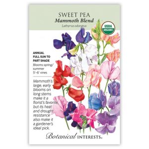Sweet Pea Seeds – Botanical Interests – Mammoth (Organic)