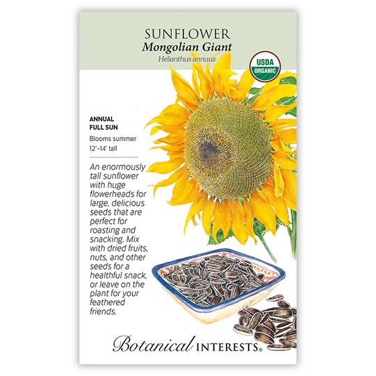 Sunflower Seeds  Botanical Interests  Mongolian Giant (Organic) |  Mahoney's Garden Center