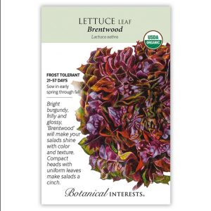Leaf Lettuce Seeds – Botanical Interests – Brentwood (Organic)