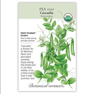 Snap Pea Seeds – Botanical Interests – Cascadia (Organic)
