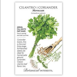Cilantro / Coriander Seeds – Botanical Interests – Moroccan