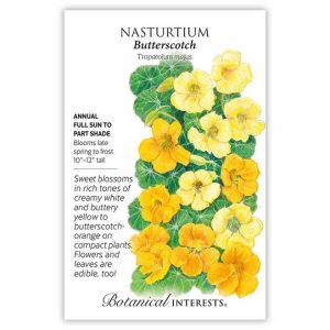 Nasturtium Seeds – Botanical Interests – Butterscotch (Large)