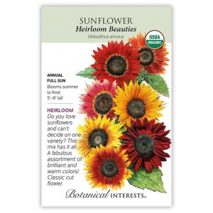 Sunflower Seeds – Botanical Interests – Heirloom Beauty (Large, Organic)