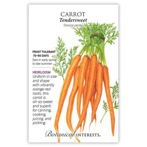 Carrot Seeds – Botanical Interests – Tendersweet
