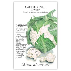 Cauliflower Seeds – Botanical Interests – Twister