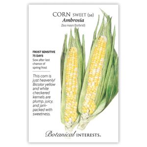 Sweet Corn Seeds – Botanical Interests – Ambrosia