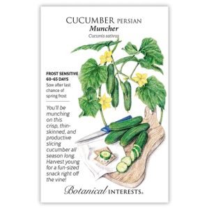 Cucumber Seeds – Botanical Interests – Muncher Persian