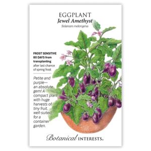 Eggplant Seeds – Botanical Interests – Jewel Amethyst