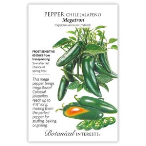 Chile Pepper Seeds – Botanical Interests – Megatron Jalapeño