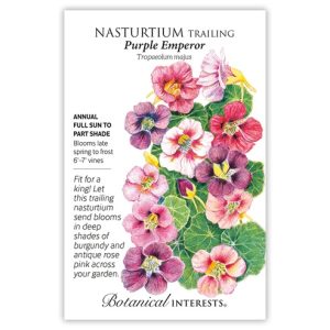 Trailing Nasturtium Seeds – Botanical Interests – Purple Emperor