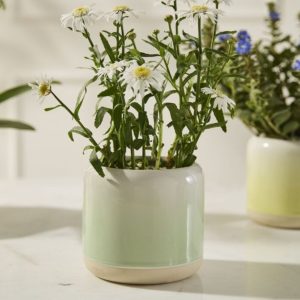 Skyway Pot - Green/White - 5.25"