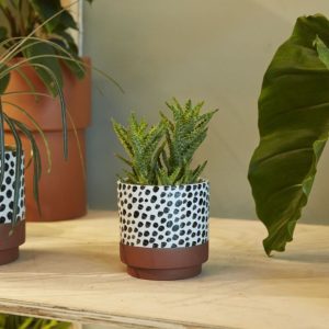 Lassen Pot - Terra Cotta/Black/White - 4.5"