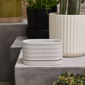 Zelle Planter With Saucer - White - 8"