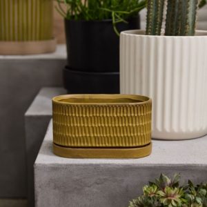 Zelle Planter With Saucer - Brown - 8"