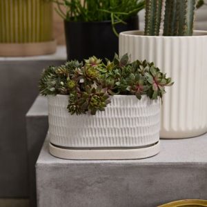 Zelle Planter With Saucer - White - 9"