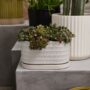 Zelle Planter With Saucer - White - 9"