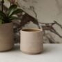 Luciana Pot 5.25″ – Light Pink