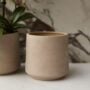 Luciana Pot 6.75″ – Light Pink