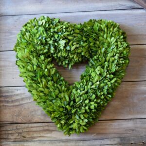 Preserved Boxwood Heart Wreath – 8″