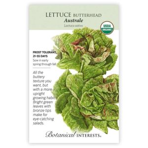 Butterhead Lettuce Seeds – Botanical Interests – Australe (Organic)