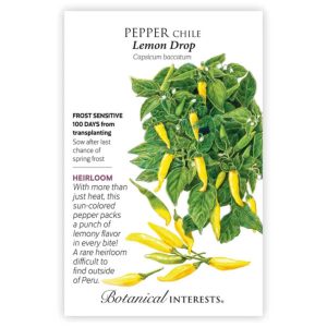 Chile Pepper Seeds – Botanical Interests – Lemon Drop